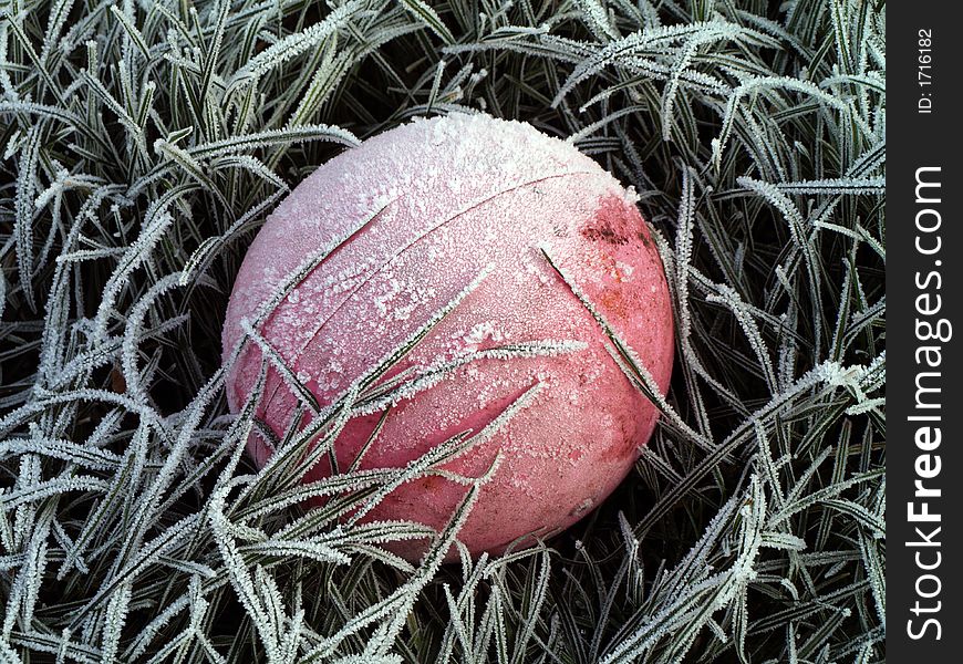 Frozen field with grass and pink ball. Frozen field with grass and pink ball