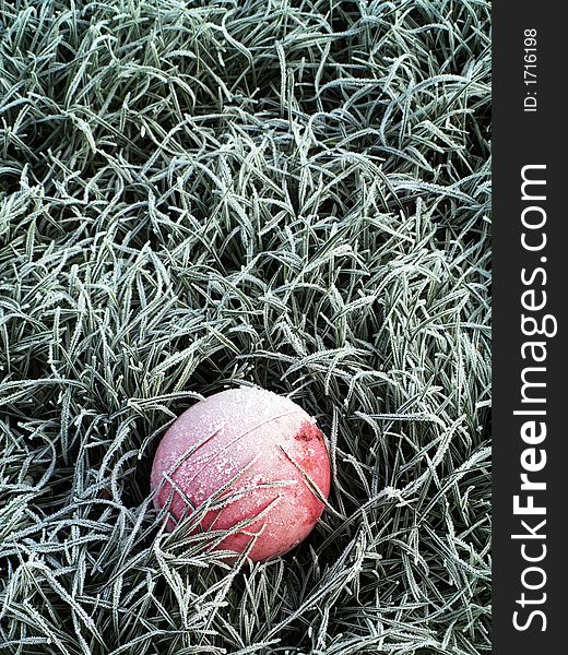 Frozen field with green grass, ice and pink ball. Frozen field with green grass, ice and pink ball