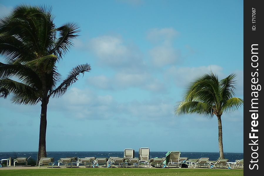 Vieew of a lawn area with beach chairs. Vieew of a lawn area with beach chairs