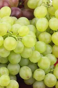Green Grapes Stock Images Green Grapes Stock Images