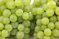 Green Grapes Royalty Free Stock Image Green Grapes Royalty Free Stock Image