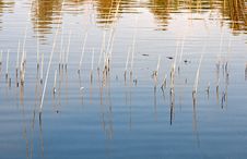 Nature Background Colors Stock Photography Nature Background Colors Stock Photography