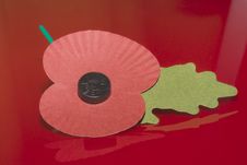 Remembrance Day Stock Photography