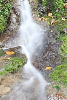 Mountain Stream Stock Images