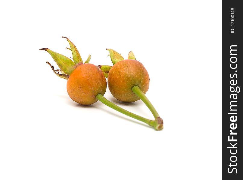 Dogrose berries on a white background