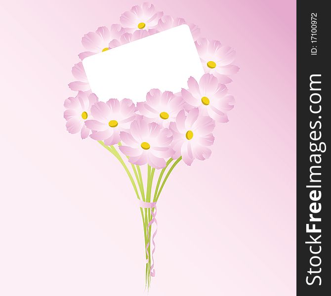 Bouquet of pink chamomiles vector illustration with a letter of congratulations