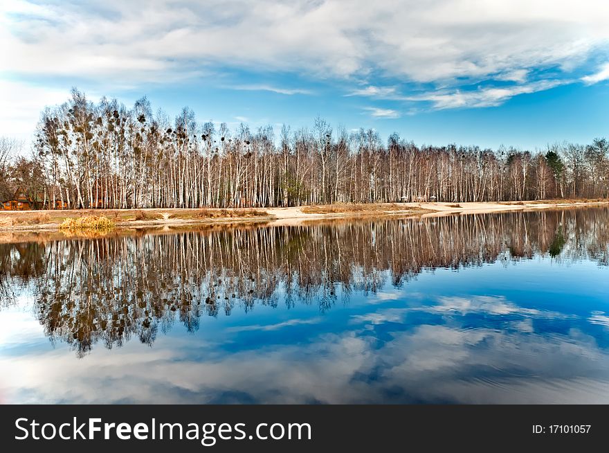 Birch Grove At The Lake