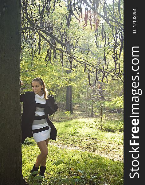 Attractive girl leans against a tree in autumn park. Attractive girl leans against a tree in autumn park