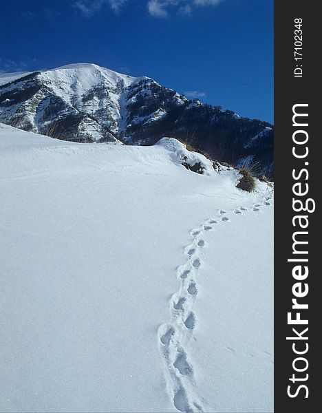 Tracks on the white blanket of the snow in the apennines mountains. Tracks on the white blanket of the snow in the apennines mountains