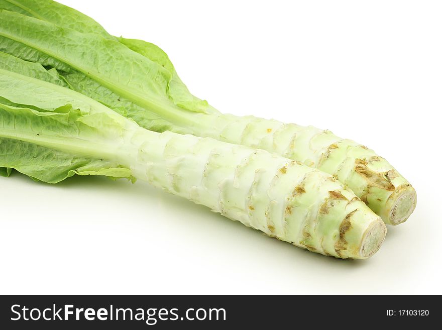 Green lettuce on white background