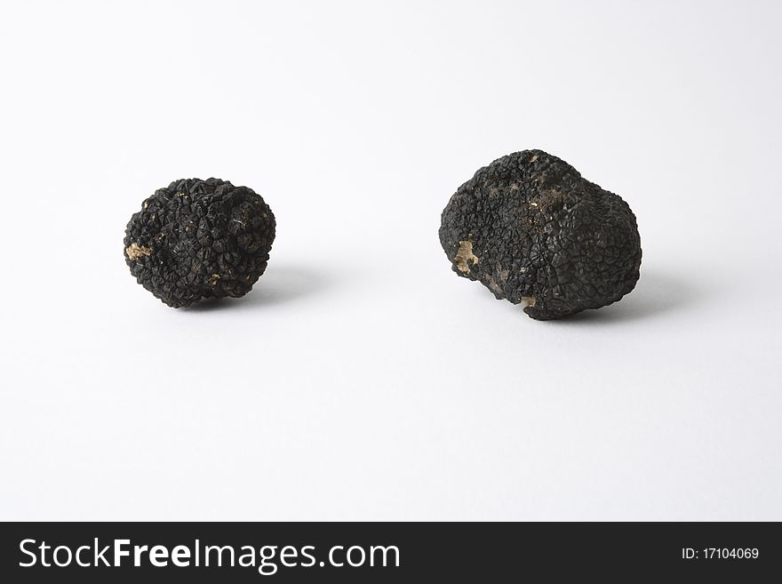 Black truffle isolated on a white background, horizontal version