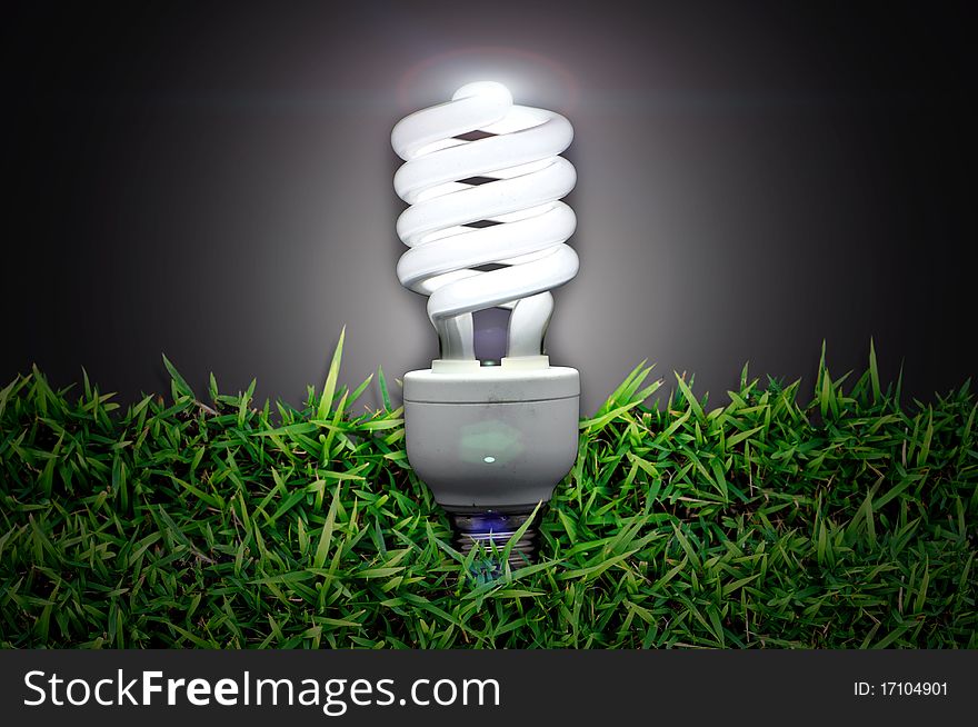 Energy saving light bulb over green grass. Energy saving light bulb over green grass