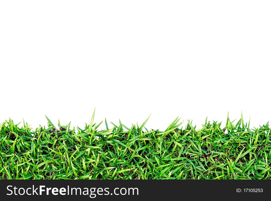 Fresh Spring Green Grass  With Clipping Path