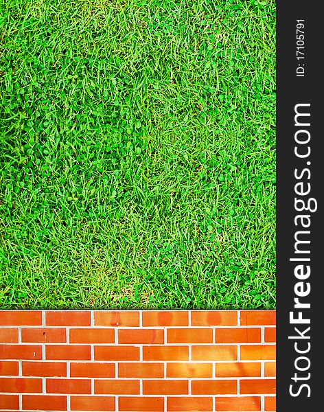 Brick wall fence and grass field