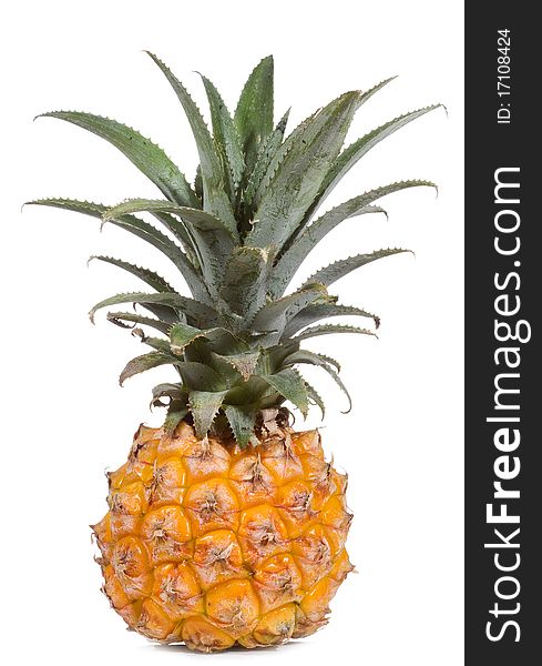 Pineapple