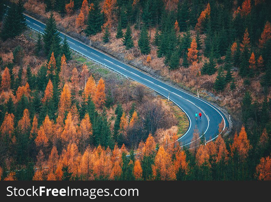 Runners train up hills on the road in beautiful orange autumn nature. High Quality Photo, natural light