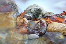 Mountain Stream Stock Images Mountain Stream Stock Images
