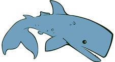 Whale Royalty Free Stock Images Whale Royalty Free Stock Images