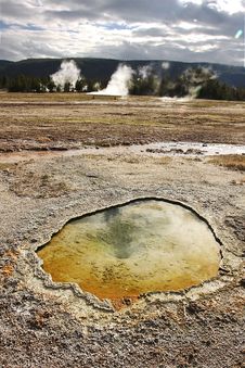 Geothermal Geyser Stock Images