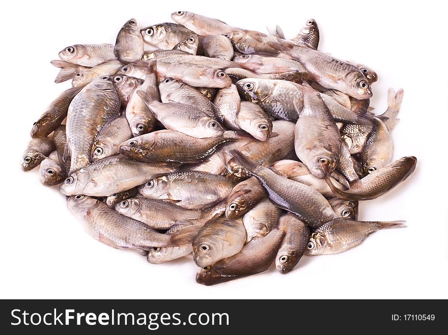 Pile of fresh river fish across white. Pile of fresh river fish across white