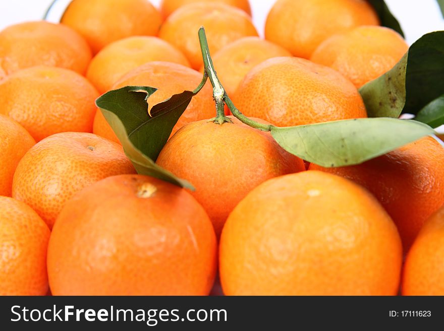 Mandarins, one with leaves, on white background