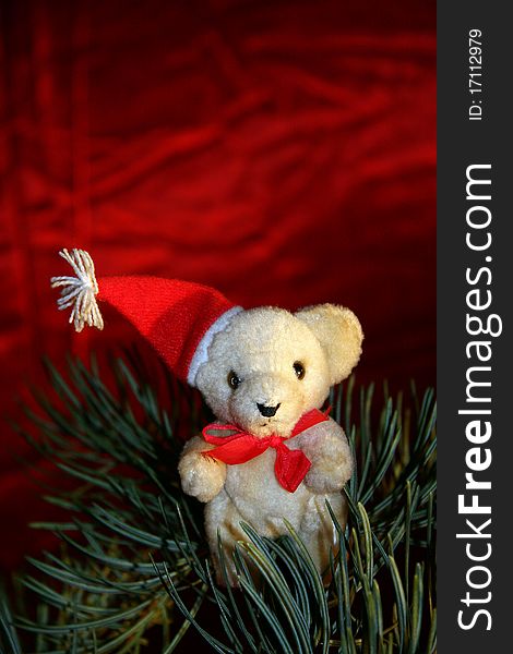 Christmas teddy and spruce branch on a red background