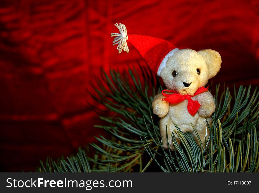 Christmas teddy and spruce branch on a red background