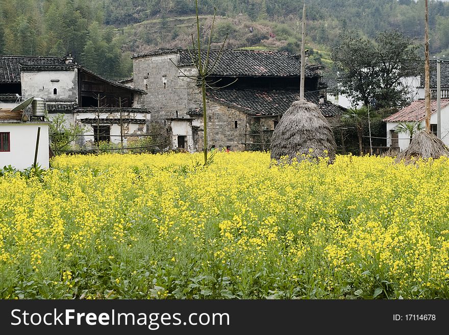 The chinese villages which surrounded by flower. The chinese villages which surrounded by flower