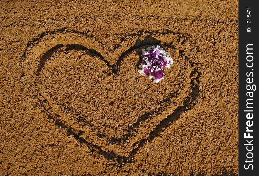 Drawing Heart on sand and purple flower