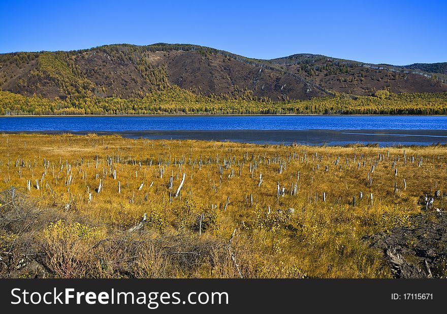 Forest and river at autumn. Forest and river at autumn.