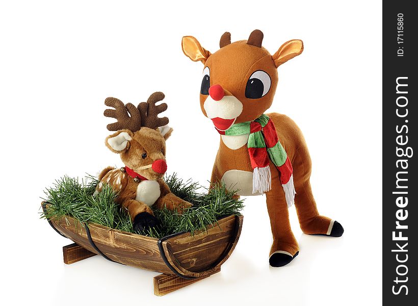 A large stuffed Rudolph looking over a fawn in a half-barrel cradle. The baby wears a strapped-on red nose. Isolated on white. A large stuffed Rudolph looking over a fawn in a half-barrel cradle. The baby wears a strapped-on red nose. Isolated on white.