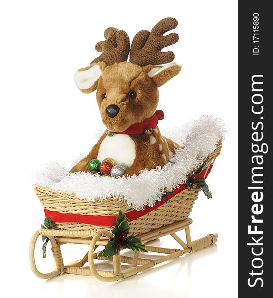 A toy fawn riding in a wicker Christmas sleigh. Isolated on white. A toy fawn riding in a wicker Christmas sleigh. Isolated on white.
