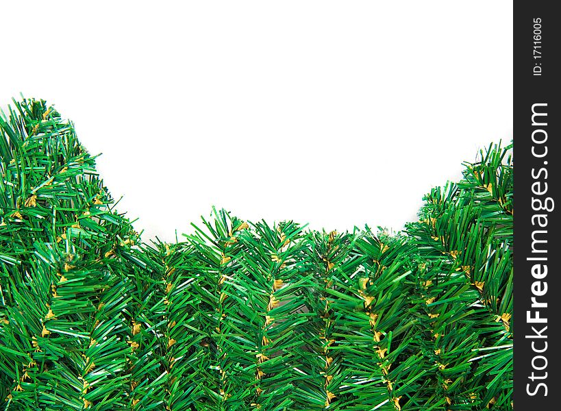 Green Pine Branch Close-up For Christmas