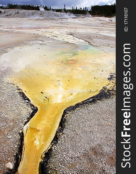 Yellow stream  in Yellowstone national park