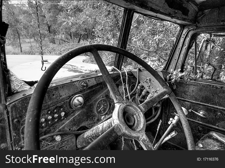 Water Truck Reclaimed By Nature