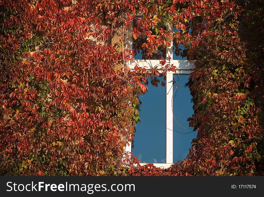 Window in autumn frame, Poland