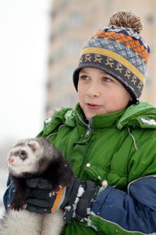 The Boy Holds A Polecat Royalty Free Stock Photo The Boy Holds A Polecat Royalty Free Stock Photo