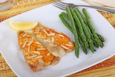 Fish Fillet Meal Stock Photography Fish Fillet Meal Stock Photography