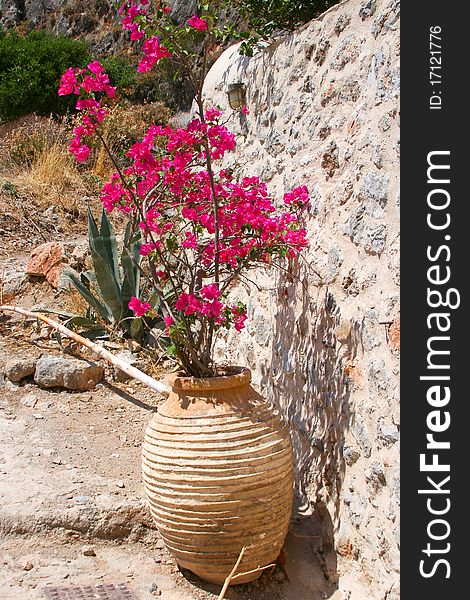 Vase with pink flower in upper town ancient Monemvasia, Greece. Vase with pink flower in upper town ancient Monemvasia, Greece
