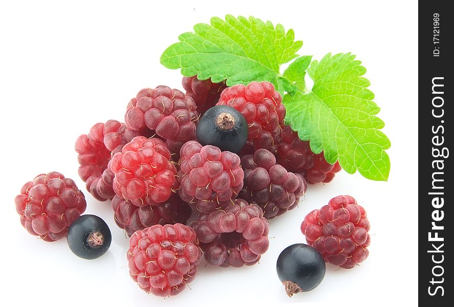 Raspberry and a black currant with a mint branch. Raspberry and a black currant with a mint branch