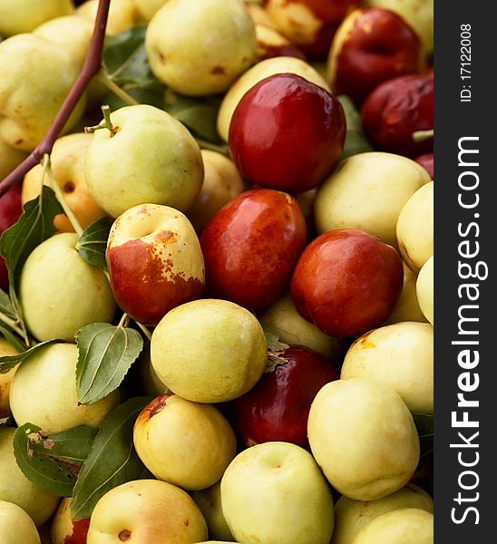 Ripe dates with leaves close up