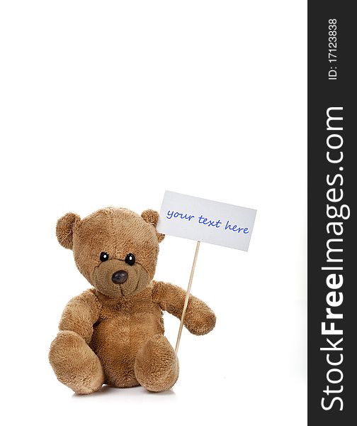 Toy bear holding a text tag isolated on white. Toy bear holding a text tag isolated on white