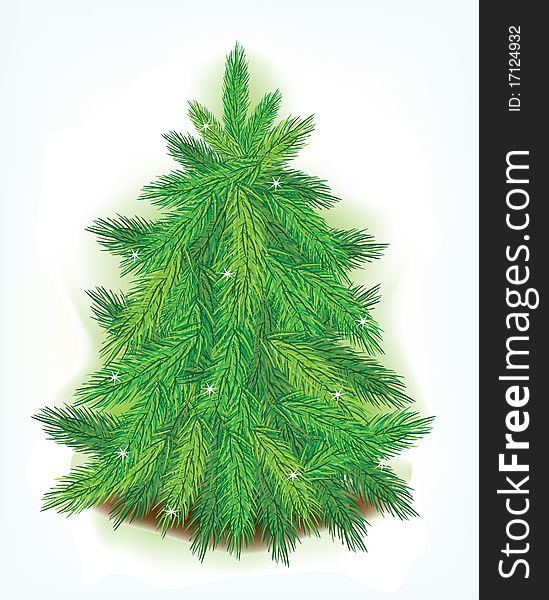 Evergreen Christmas tree  - vector illustration