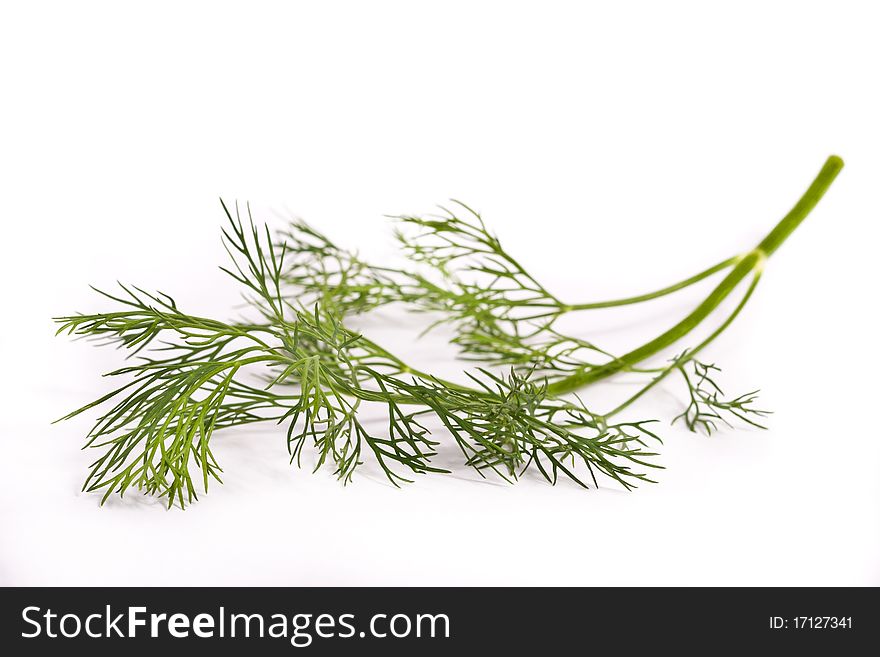 Brunchlet of fresh dill across white. Brunchlet of fresh dill across white