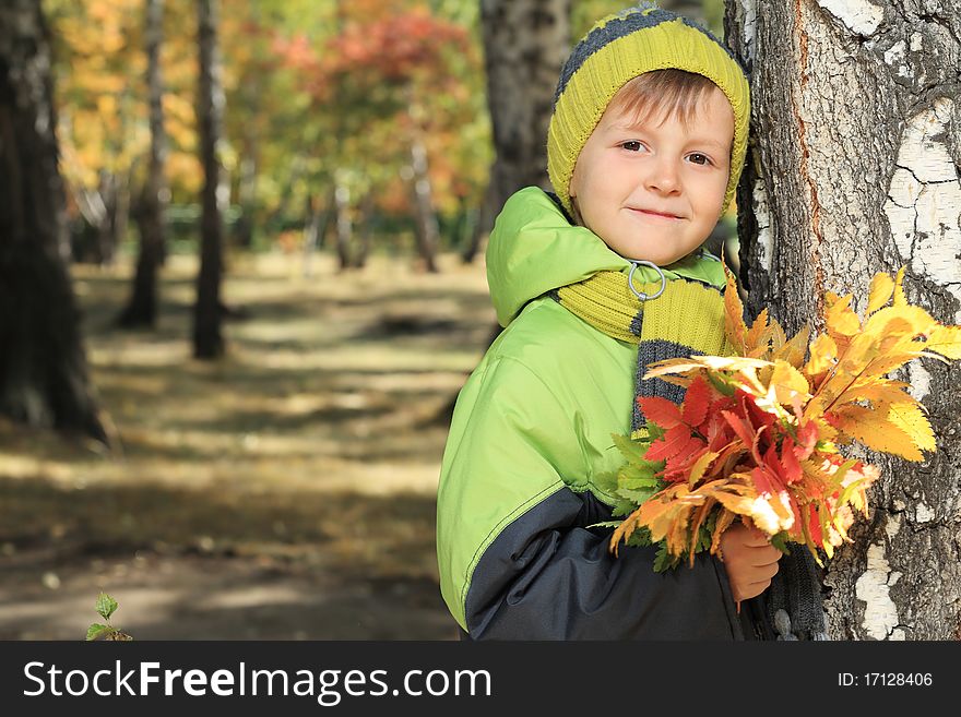 Happy little boy walking at the autumn park.