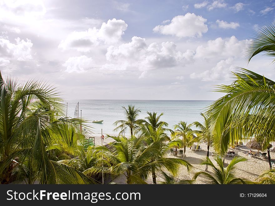 View of a tropical beach scene through palm trees. Shot from above. View of a tropical beach scene through palm trees. Shot from above.