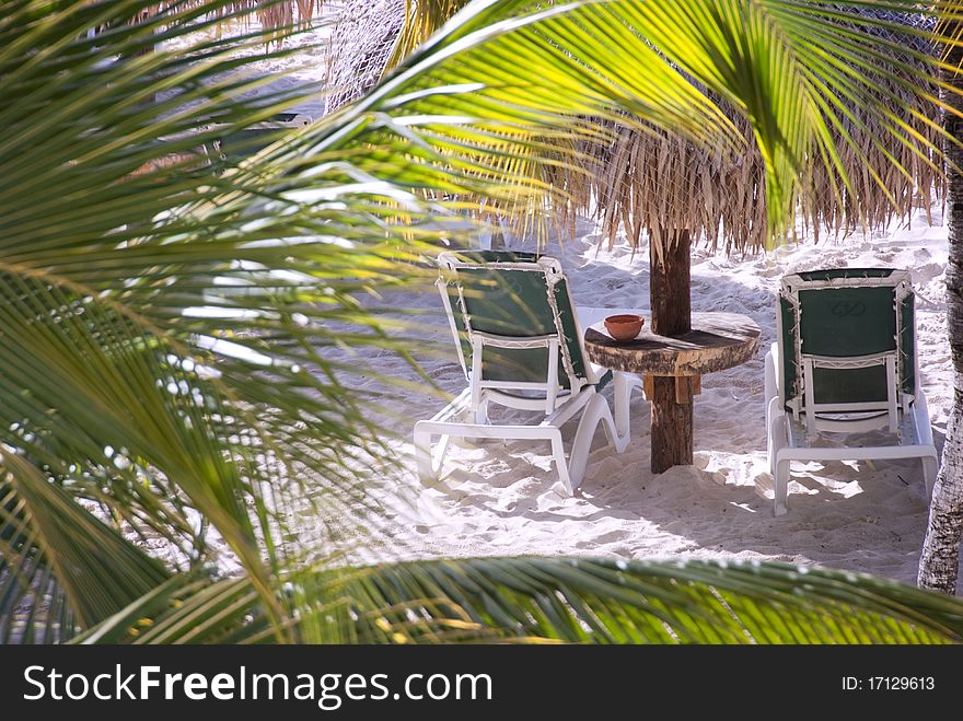 Two beach chairs underneath a palapa seen through the palm trees. Two beach chairs underneath a palapa seen through the palm trees.