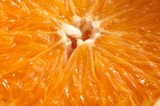 Orange Macro Royalty Free Stock Photography Orange Macro Royalty Free Stock Photography