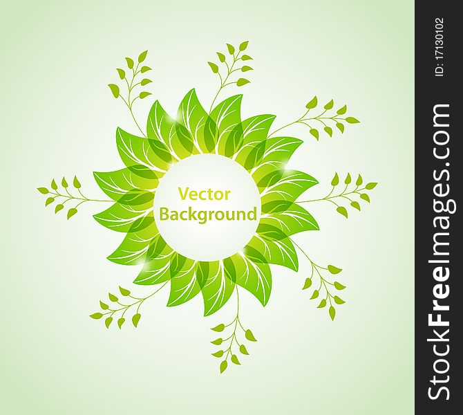 Vector green background with leaves. No transparency