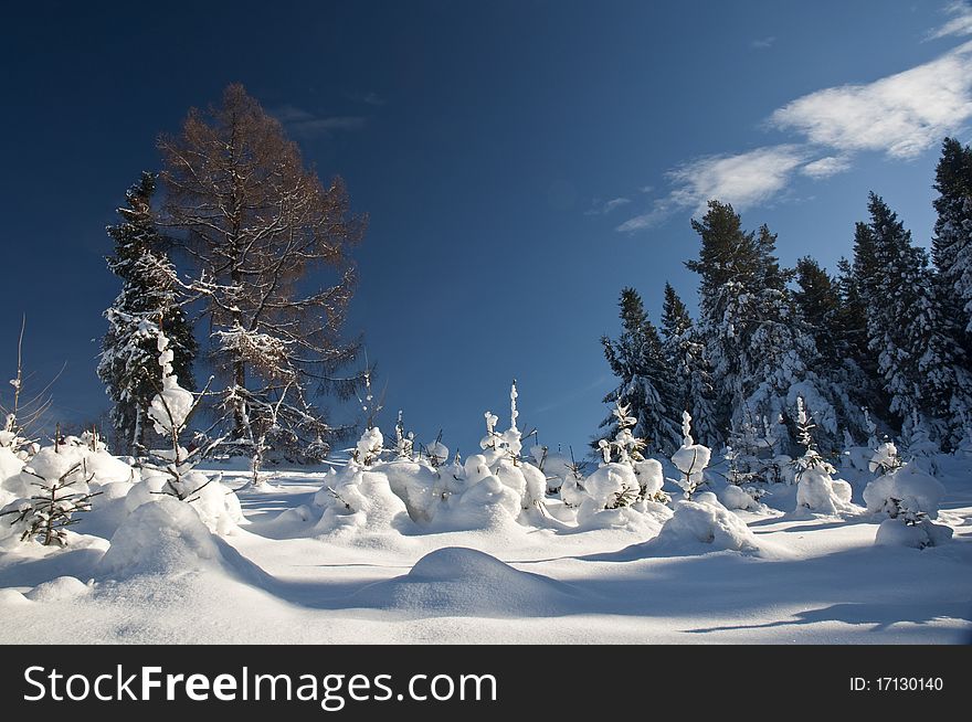 Winter In Wierchomla